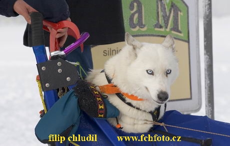 Decinsky sneznik 05 - 017.jpg